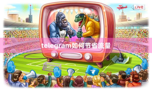 telegram如何节省流量